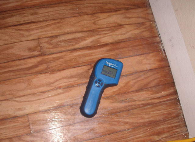 Water Damage Thermometer