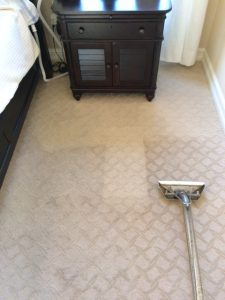 Carpet Cleaning Cape Coral