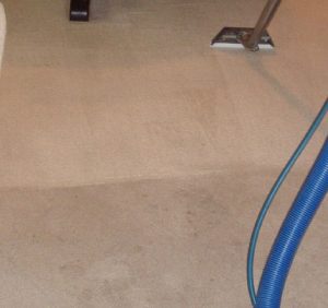 High Quality Carpet Cleaning